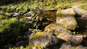 ein kleines Abenteuer – auf Trittsteinen über die Wilde Rench