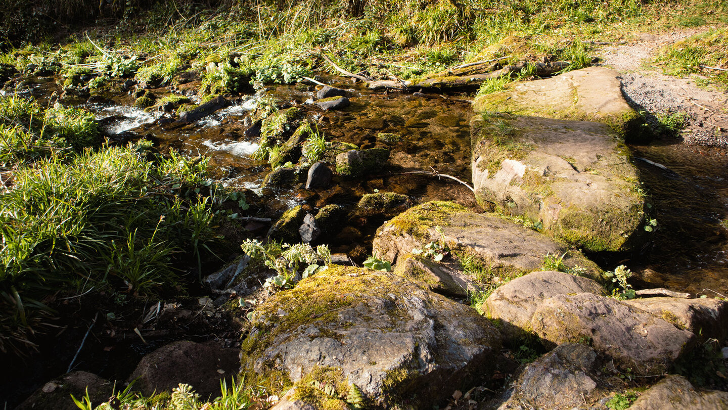 ein kleines Abenteuer – auf Trittsteinen über die Wilde Rench