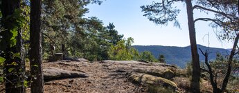Kühhungerfelsen – weitläufiges Felsplateau mit Rastplatz und Blick über den Pfälzerwald.