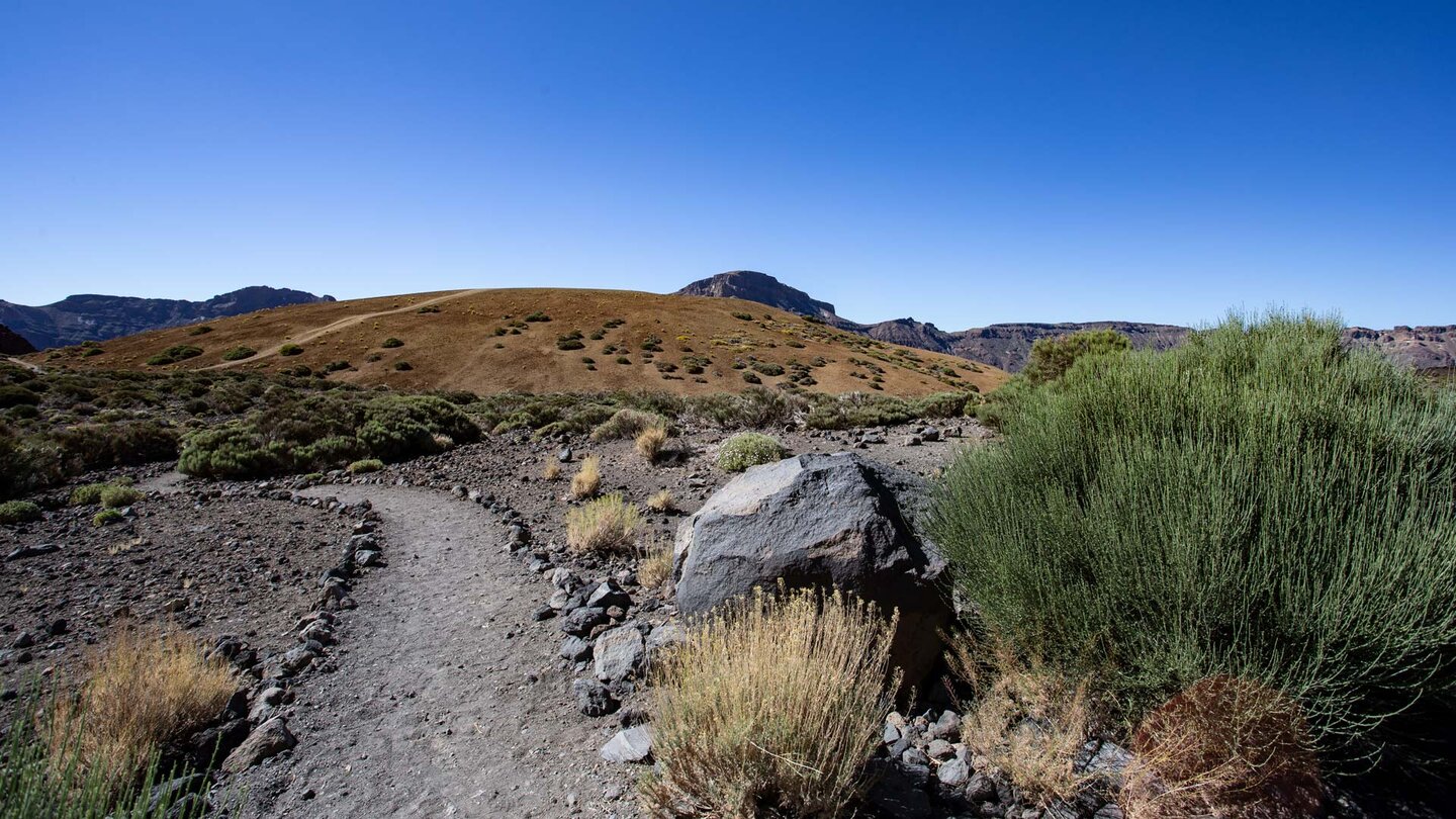 Wanderweg 19 Manúja im Teide Nationalpark