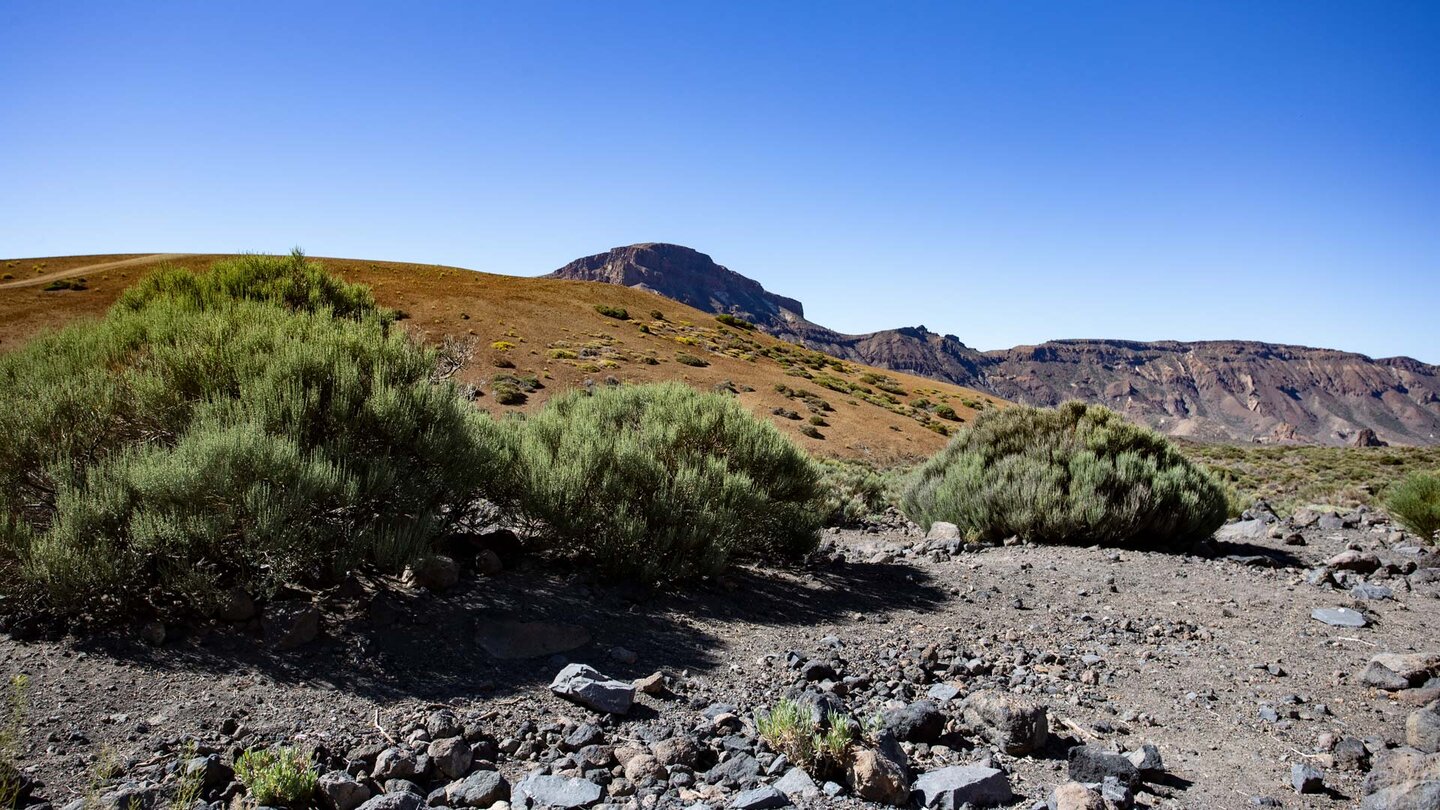 Wanderweg 19 mit Blick auf Montaña Manúja im Teide Nationalpark