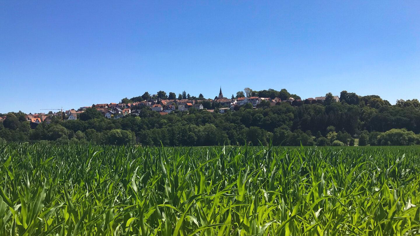 Blick auf Homberg (Ohm)