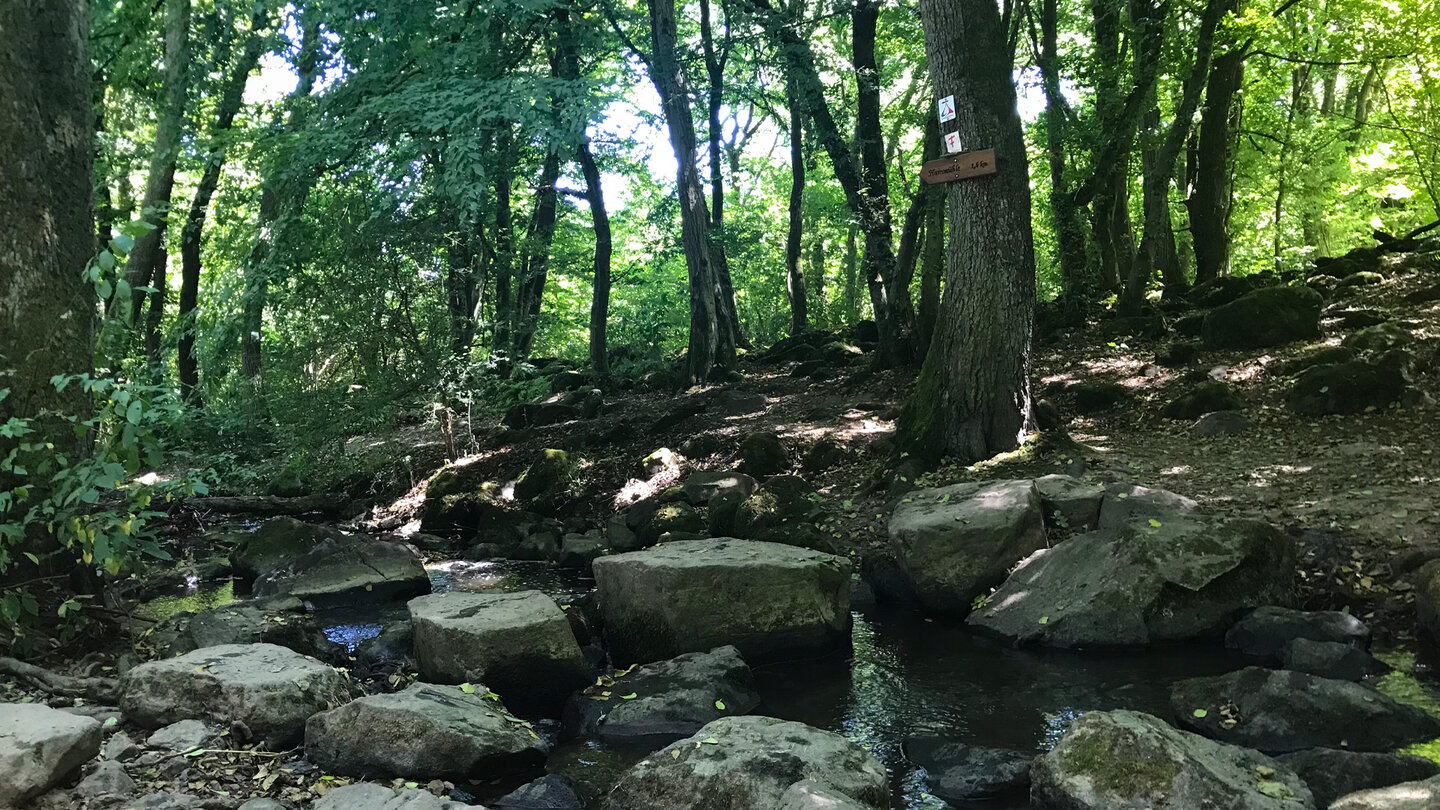 Trittsteine am Wanderweg