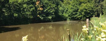 Teich im Schächerbachtal