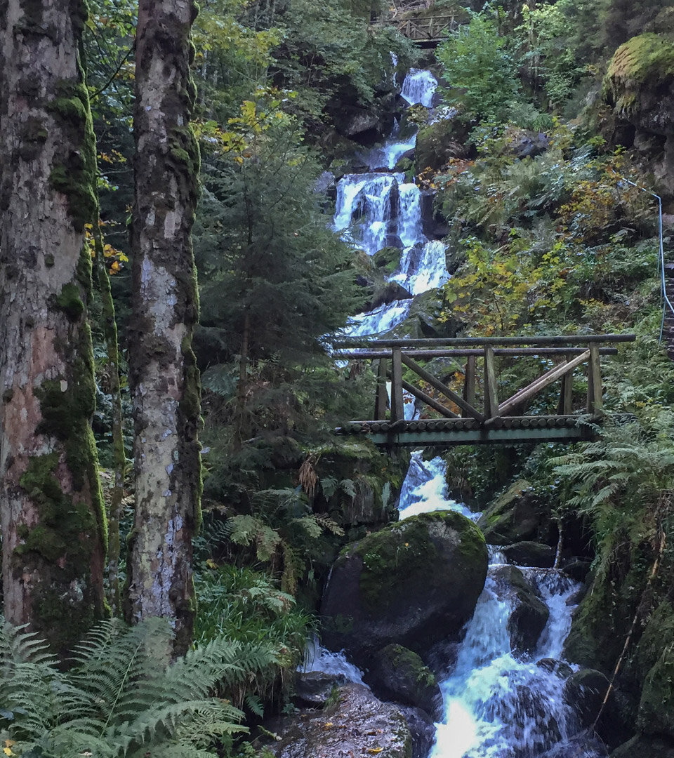 Gertelbach-Wasserfälle im Bühler Tal Gertelbach-Wasserfälle im Bühler Tal