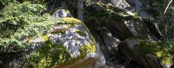 Felsformationen am Wanderweg bei Gausbach
