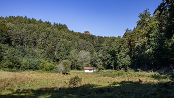 Wiesental entlang des Spirkelbachs