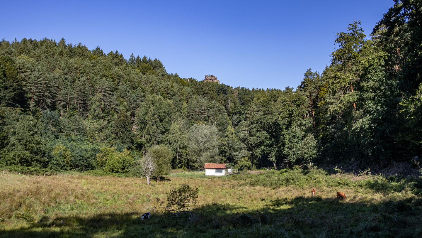 Wanderung im Wiesental des Spirkelbachs Wiesental entlang des Spirkelbachs