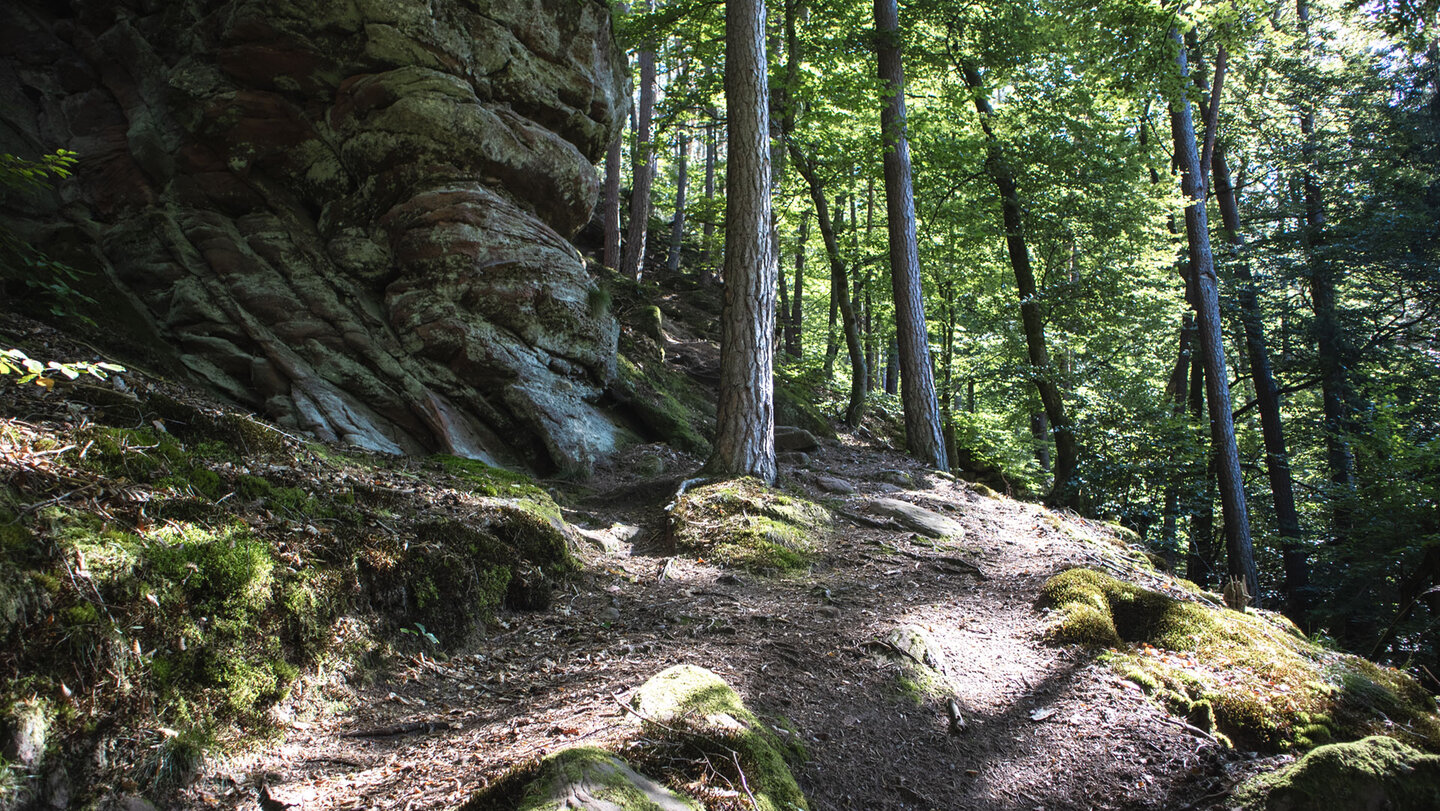 Wanderpfad im Pfälzerwald bei Spirkelbach Wanderpfad im Pfälzerwald