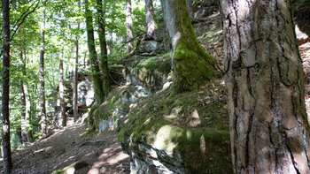 Felsen am Spirkelbacher Höhenweg