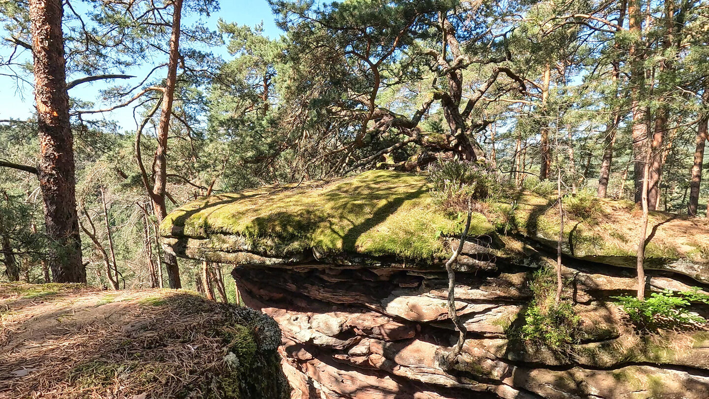 Felsenriff am Buntsandsteinmassiv Prälatenkammer Felsenriff am Buntsandsteinmassiv Prälatenkammer