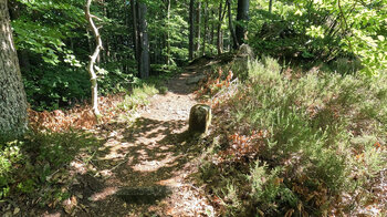 historische Grenzsteine am Spirkelbacher Höhenweg