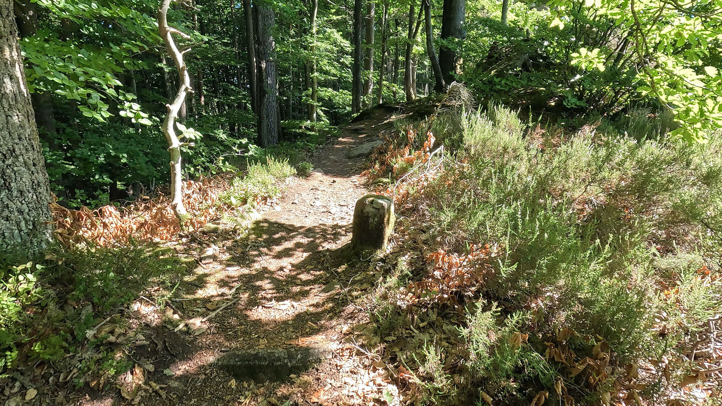 historische Grenzsteine am Spirkelbacher Höhenweg historische Grenzsteine am Spirkelbacher Höhenweg