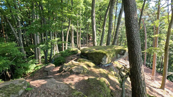 Felsen am Wackelstein