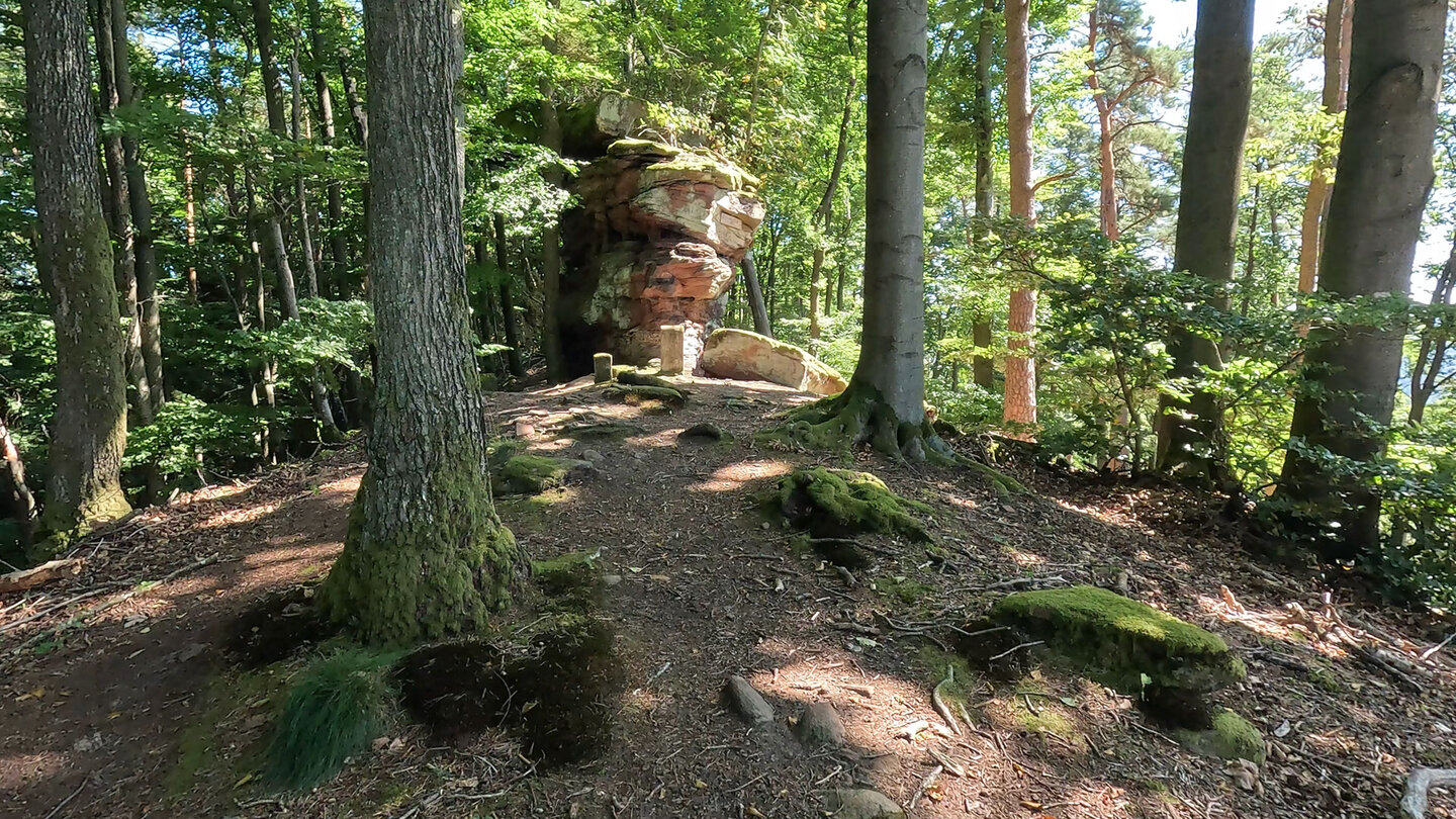 Kammwanderweg am Gipfel des Rindsbergs Kammwanderweg am Gipfel des Rindsbergs