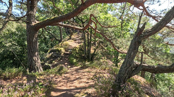 Wanderpfad auf dem Felsenband der Buchholzfelsen