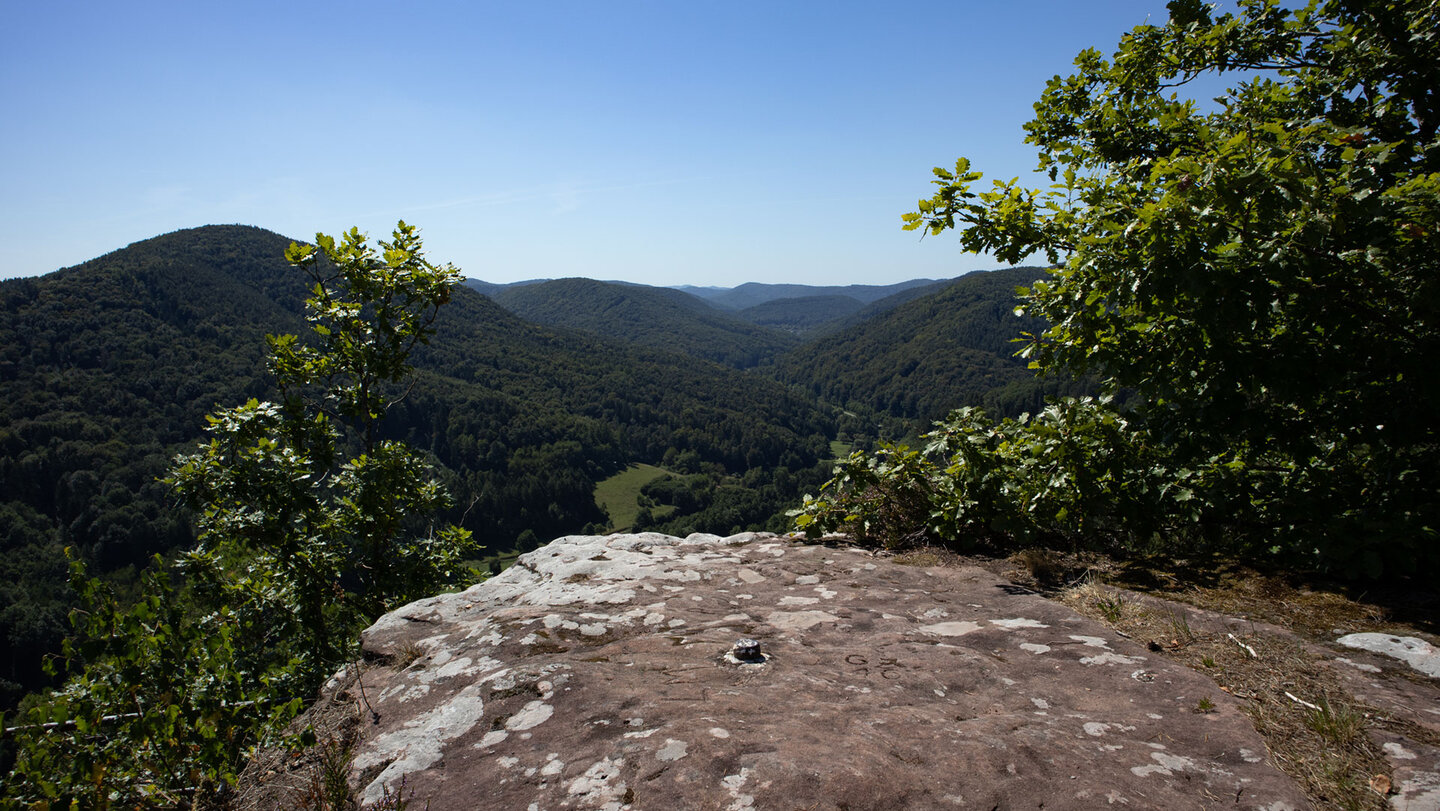 Panorama vom Buchholzfelsen am Spirkelbacher Höhenweg Panorama vom Buchholzfelsen