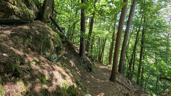 Wanderpfad zum Rindsberg Westpfeiler