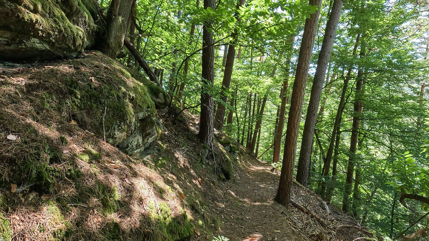 malerischer Wanderpfad zum Rindsberg Westpfeiler Wanderpfad zum Rindsberg Westpfeiler