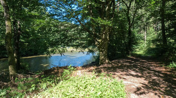 Schafwoog Weiher bei Spirkelbach