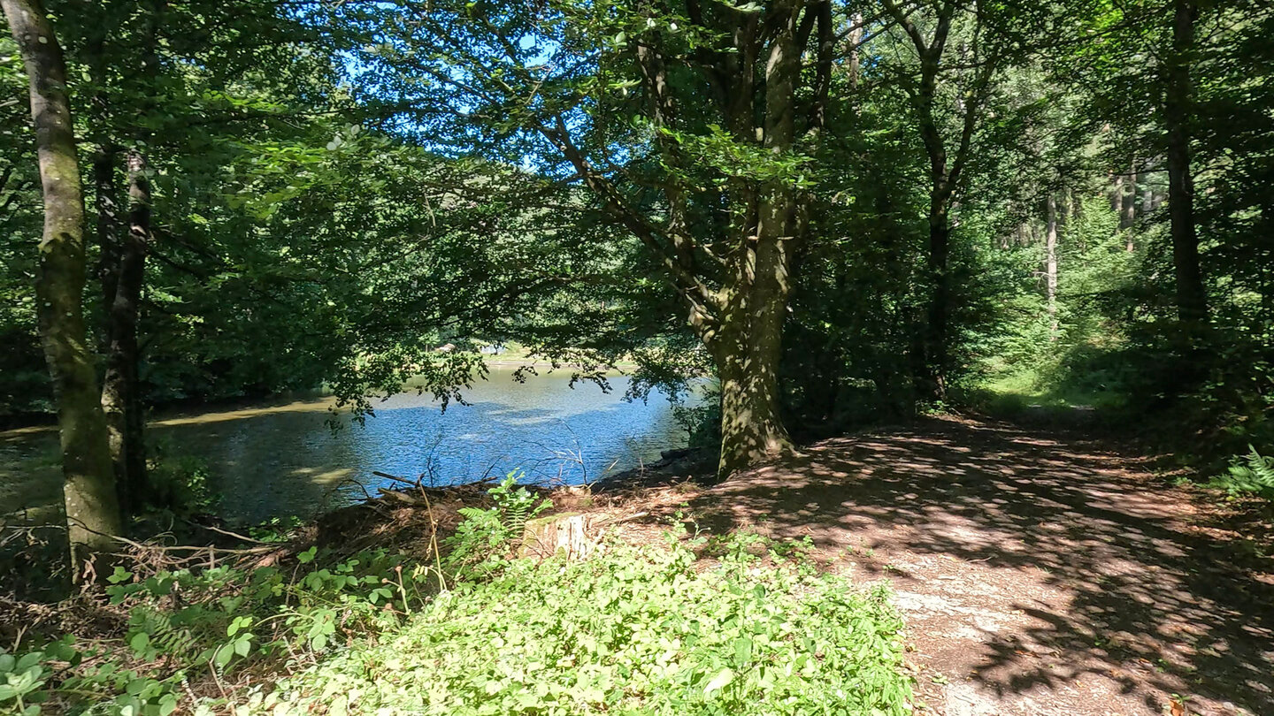 Rückweg nach Spirkelbach über den Schafwoog Weiher Schafwoog Weiher bei Spirkelbach
