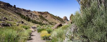 Wanderweg 41 zum Barranco de Erques im Teide Nationalpark