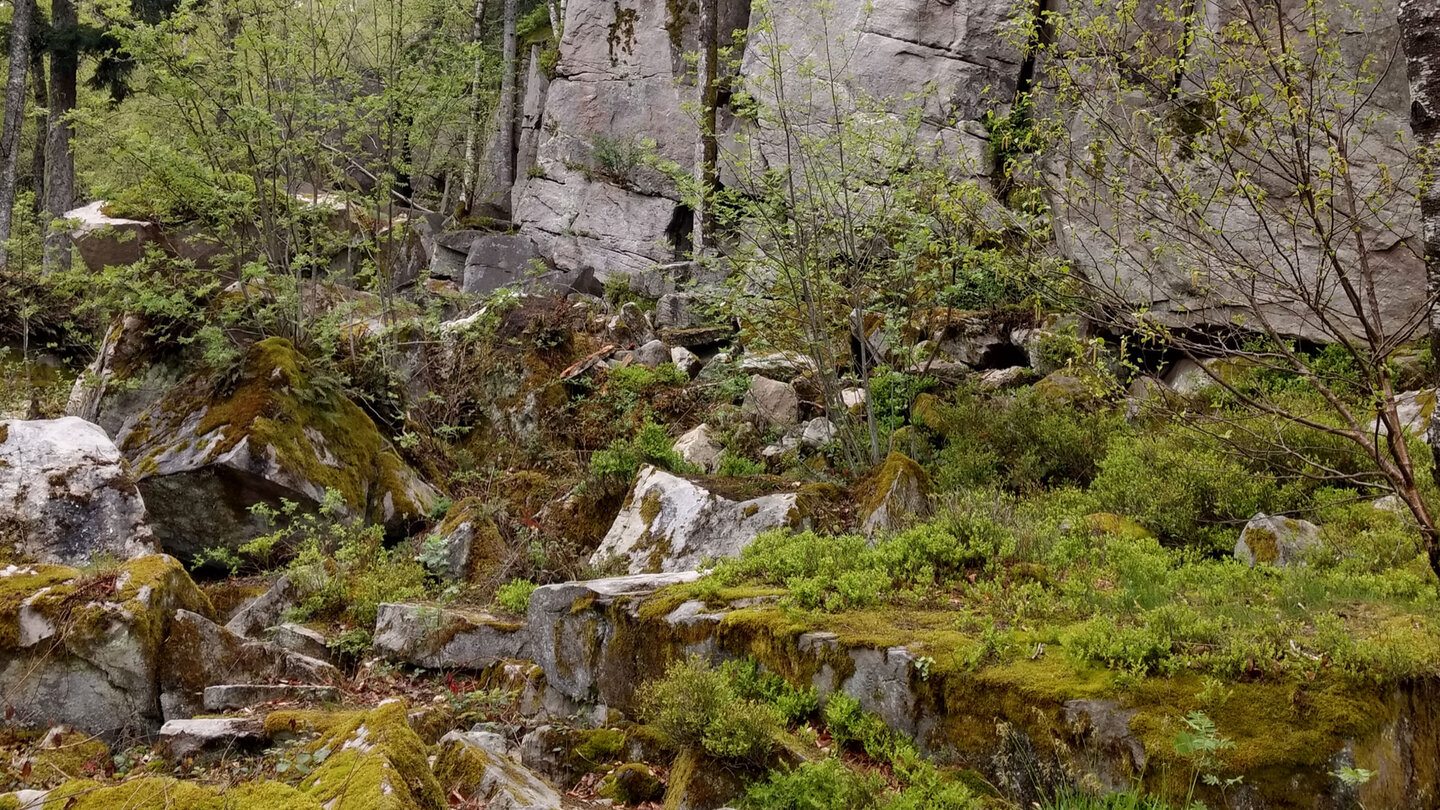 die Felsenlandschaft des Volzemer Steins am Westweg