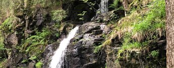 wilde Natur rund um die Zweribachwasserfälle