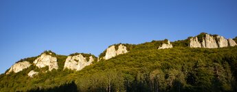 Hausener Zinnen bei Hausen im Tal – mehrere helle Kalksteinfelsen ragen aus dem bewaldeten Hang, angestrahlt von tiefem Abendlicht vor blauem Himmel