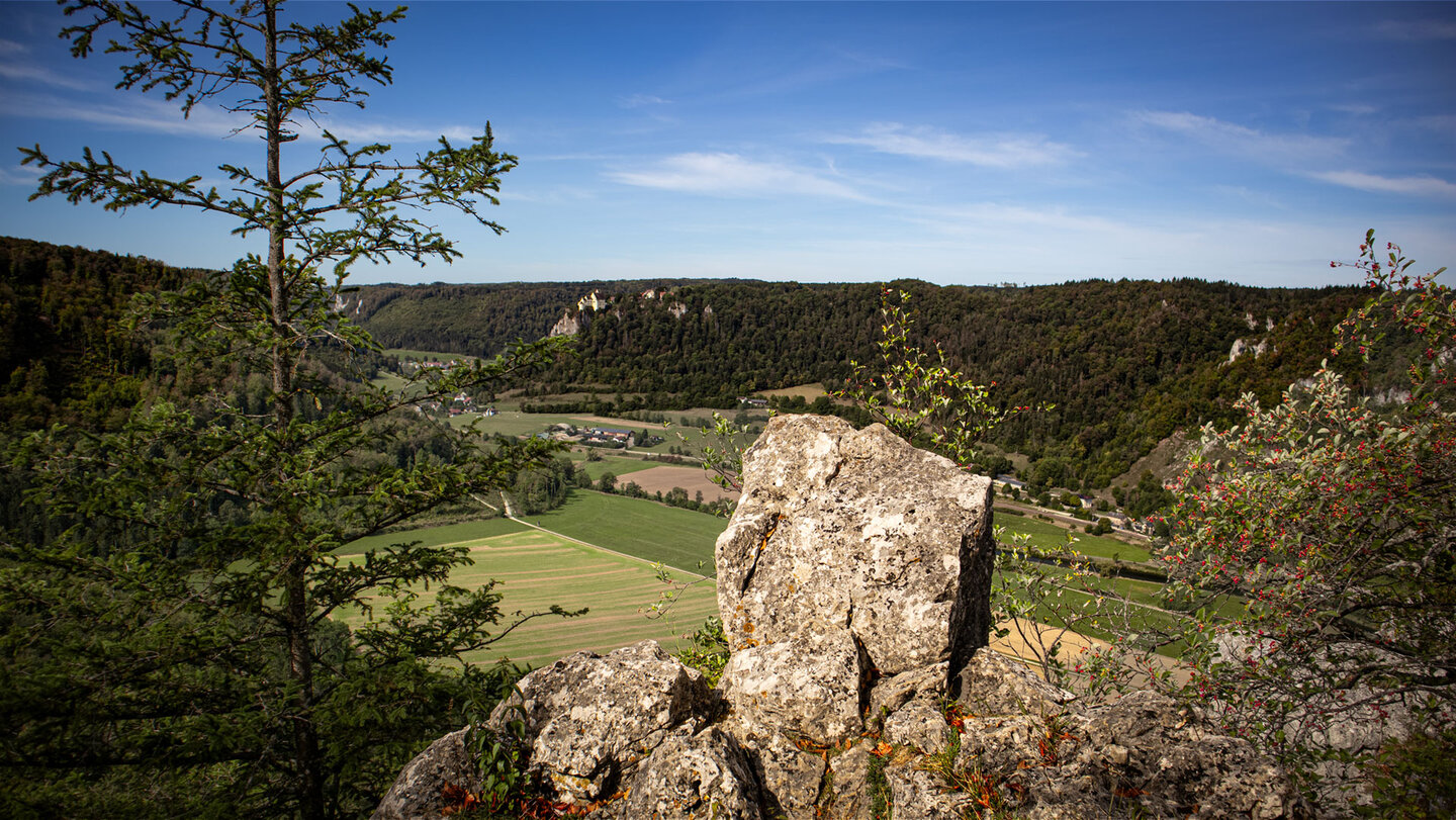 Blick vom St. Annafels über das grüne Donautal mit Schloss Werenwag im Hintergrund, umgeben von bewaldeten Albhängen und Kalksteinfelsen