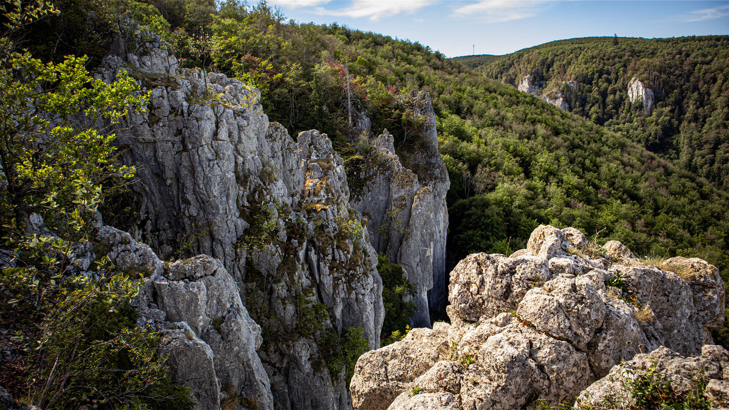 Zerklüftete Steilklippen der Hausener Zinnen im Vordergrund, dahinter das bewaldete Donautal – Blick vom St. Annafels