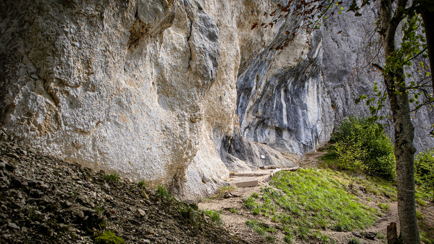 Weg direkt an der Felswand der Hausener Zinnen entlang – grauer und beiger Kalkstein mit Felsnische, Pfad zwischen Fels und Gras