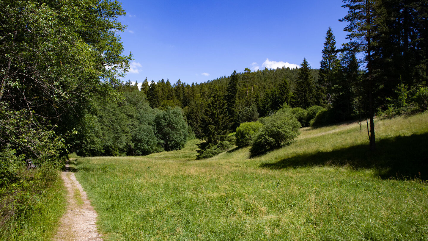 Wiesenwanderweg am Guten Ellbach Wiesenwanderweg am Guten Ellbach