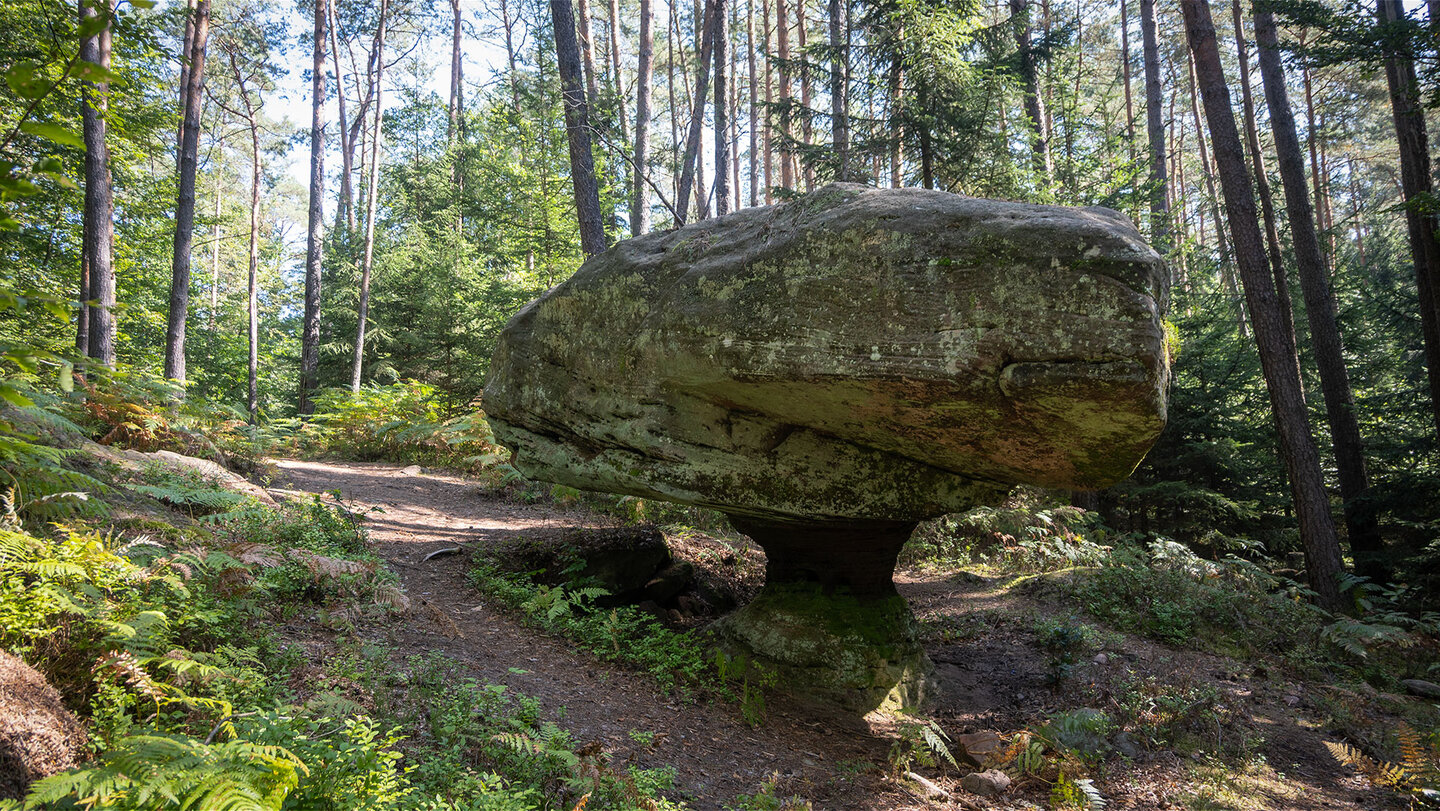 der Kleine Teufelstisch bei Eppenbrunn liegt auf der Eulenfelsen-Tour der Kleine Teufelstisch bei Eppenbrunn auf der Eulenfelsen-Tour