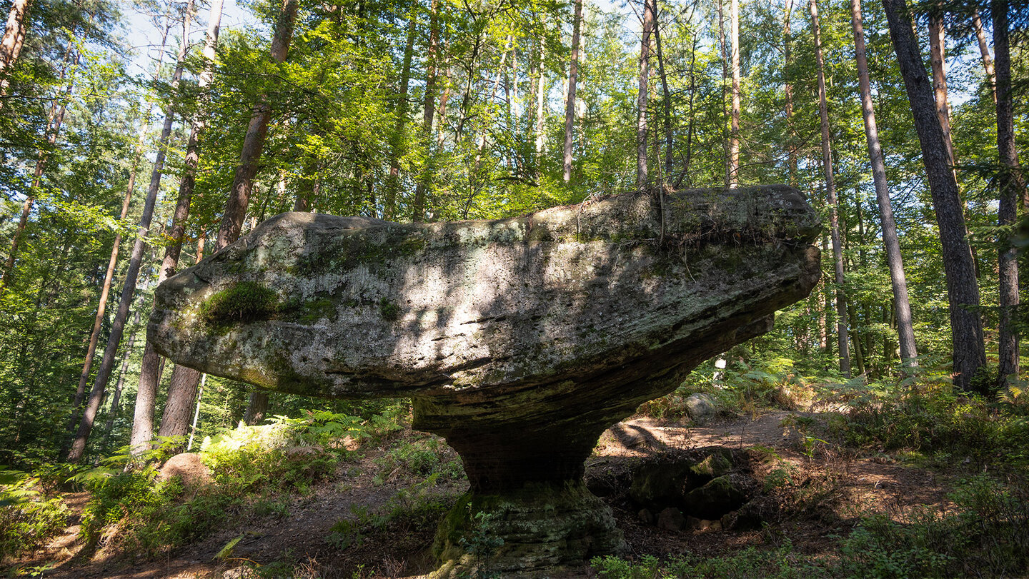eine eindrucksvolle Naturformation – der Kleine Teufelstisch bei Eppenbrunn der Kleine Teufelstisch bei Eppenbrunn