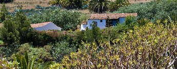 inmitten üppiger Natur liegen die Häuser von Benchijigua auf La Gomera