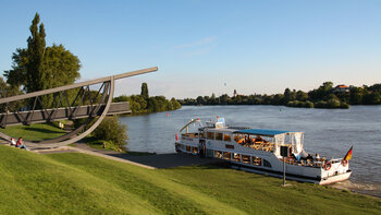 Neckarwiese in Ladenburg