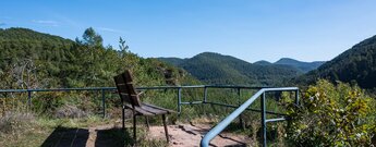 Blick übers Felsplateau der Wilgartaburg bei Wilgartswiesen