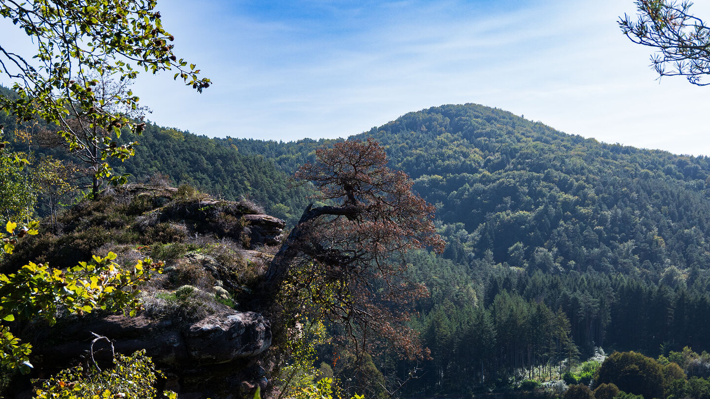 von der Wilgartaburg aus hat man einen schönen Ausblick ins Queichtal