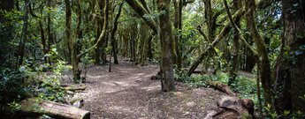 der Wanderweg Risquillo de Corgo verbindet die Routen Cañada de Jorge und Las Creces