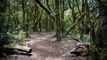 der Wanderweg Risquillo de Corgo verbindet die Routen Cañada de Jorge und Las Creces