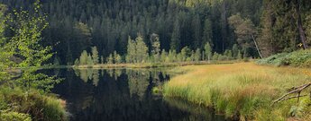 Blick über den Buhlbachsee mit Spiegelung