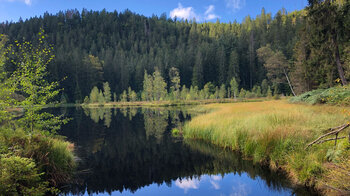 Blick über den Buhlbachsee mit Spiegelung