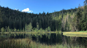 Der Buhlbachsee ist ein Karsees