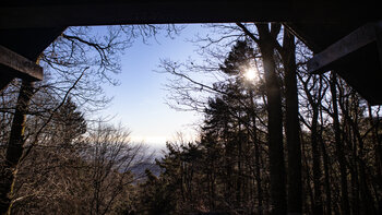 Panorama von der Hüttenberghütte auf die Rheinebene