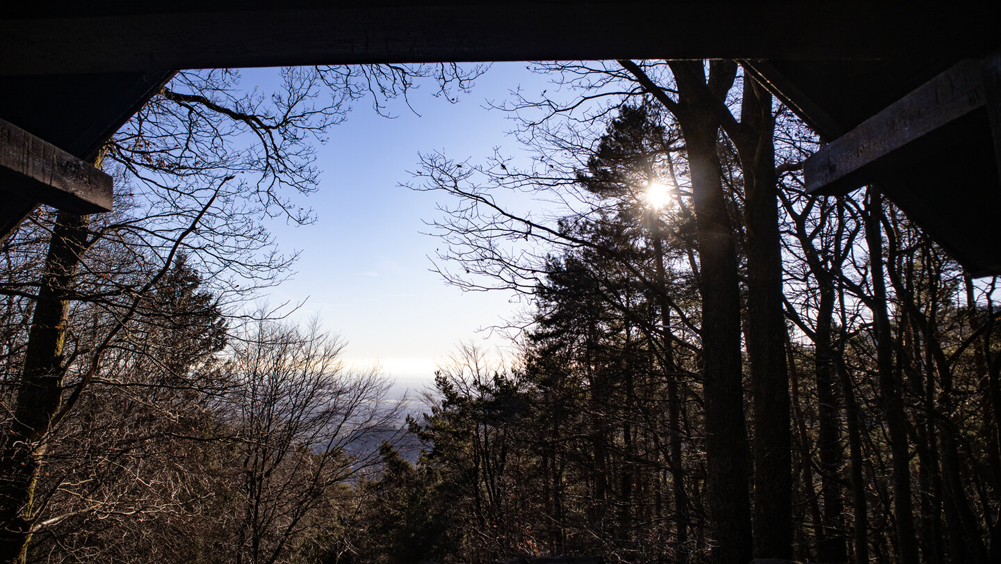 Panorama von der Hüttenberghütte auf die Rheinebene