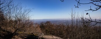 Ausblick von der Kalmit reicht bis zum Odenwald