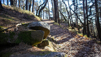 Wanderpfad zum Kalmit-Gipfel