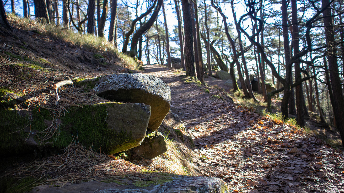 Wanderpfad zum Kalmit-Gipfel