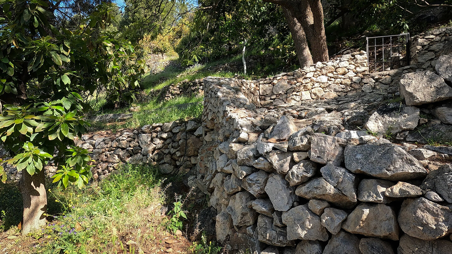Austiegsroute zum Acequia Lízar oberhalb Frigiliana Route zum Acequia Lízar oberhalb Frigiliana